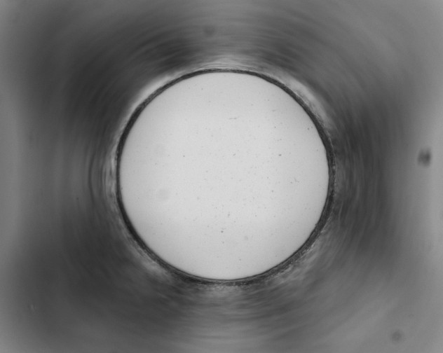 X0000102351238200808291153