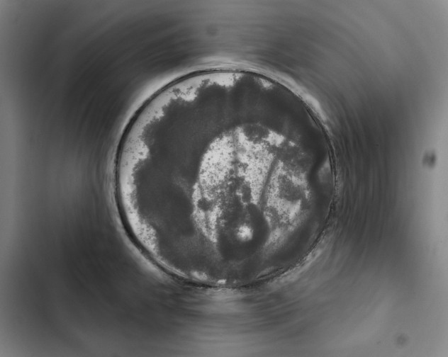 X0000102351239200808291153