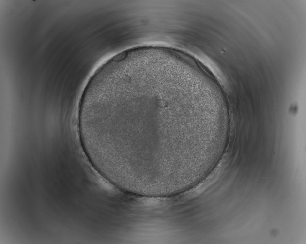 X0000102351240200808291153