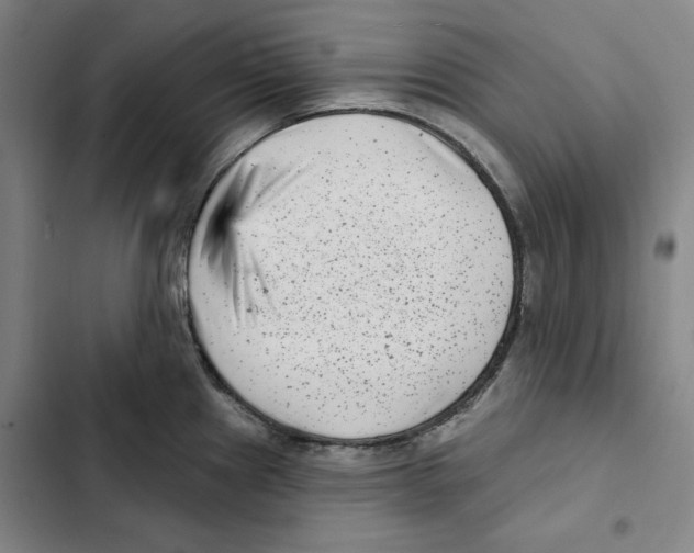 X0000102351241200808291153