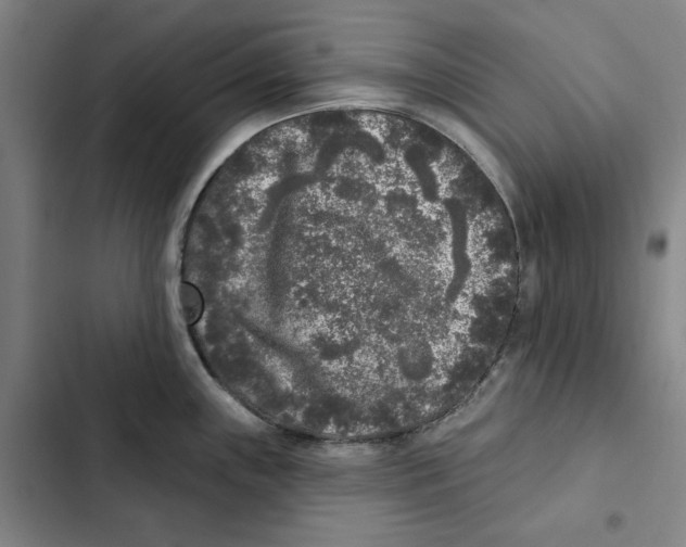 X0000102351243200808291153