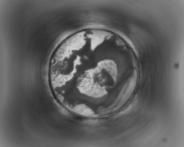 X0000102351245200808291153
