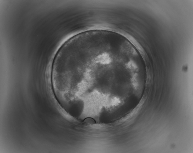 X0000102351246200808291153