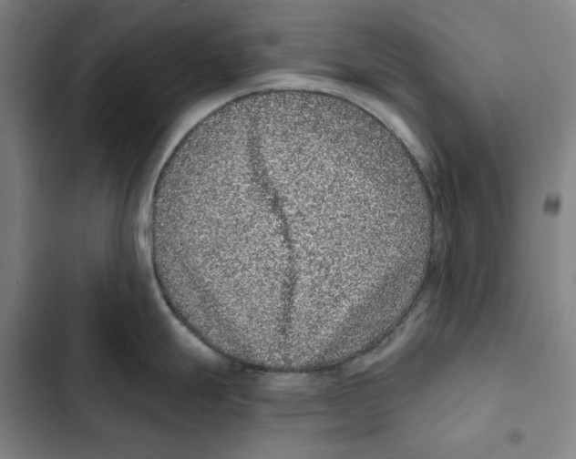 X0000102351247200808291153