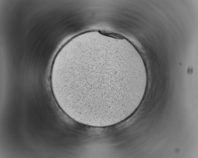 X0000102351248200808291153