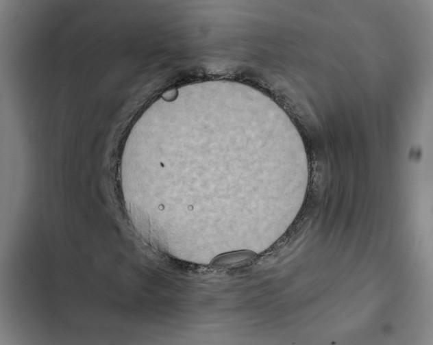 X0000102351249200808291152