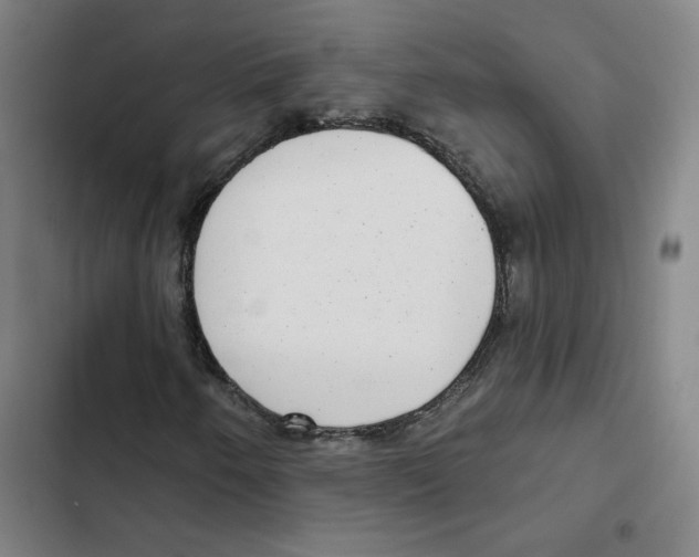X0000102351250200808291152