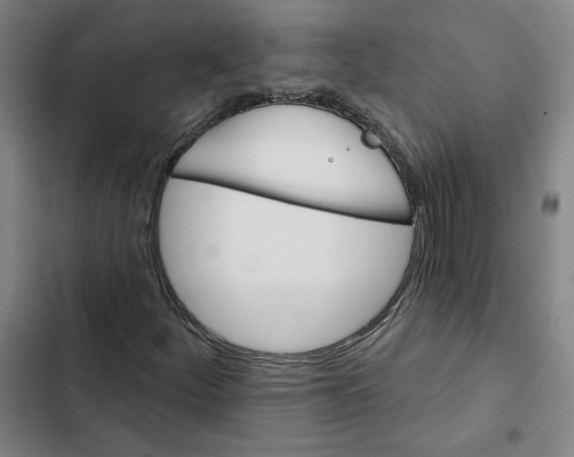 X0000102351252200808291152