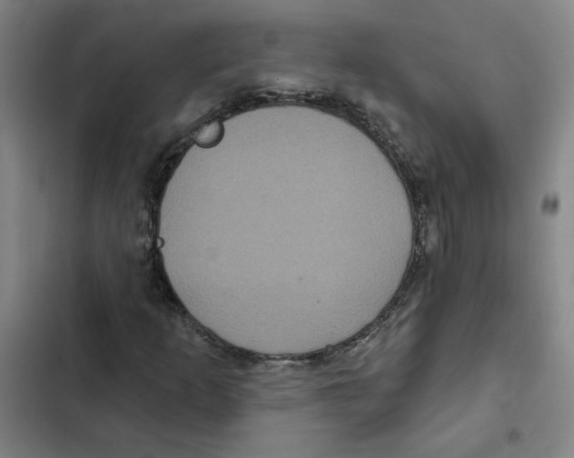 X0000102351253200808291152