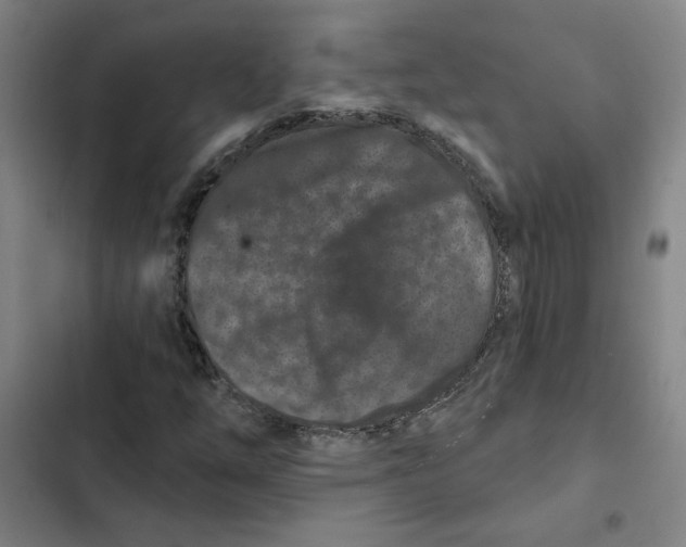 X0000102351254200808291152