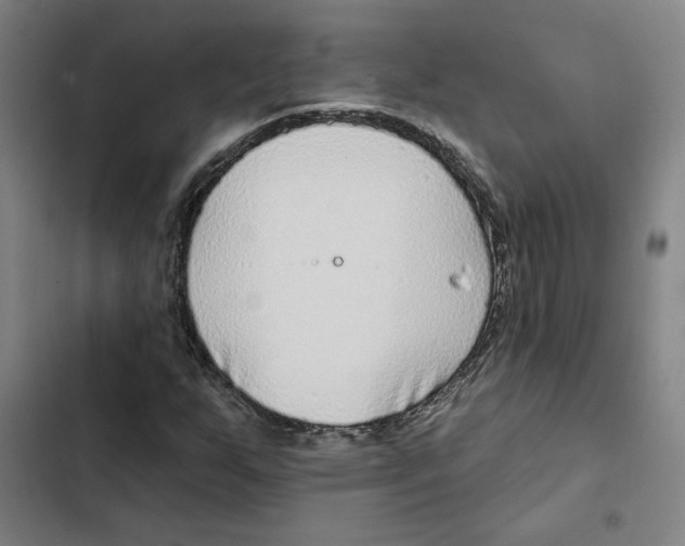 X0000102351255200808291152