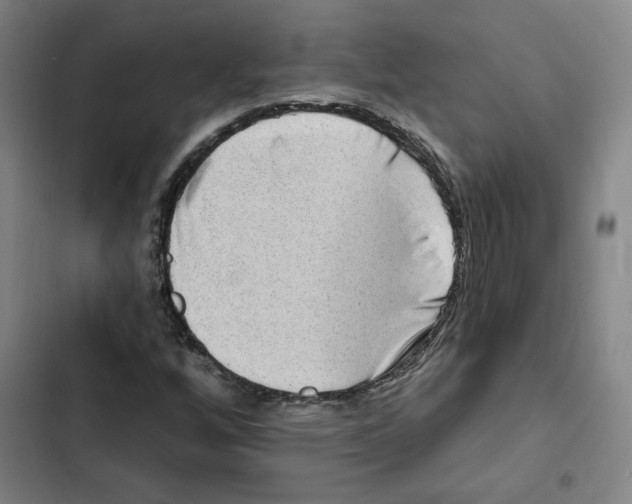 X0000102351256200808291152
