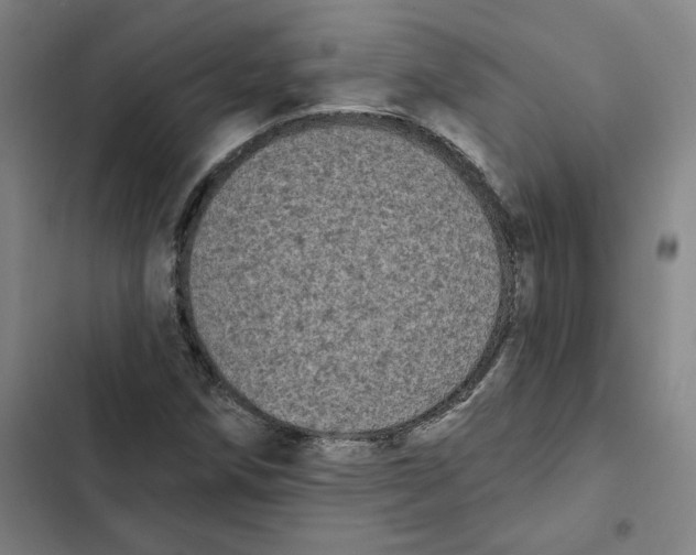 X0000102351258200808291152