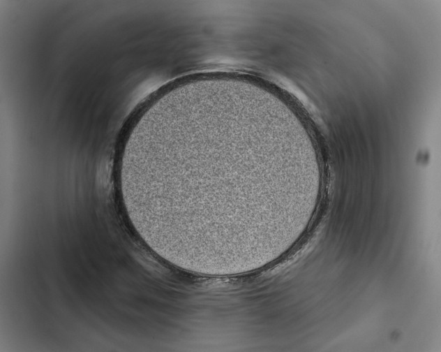 X0000102351259200808291152