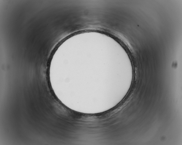 X0000102351260200808291152