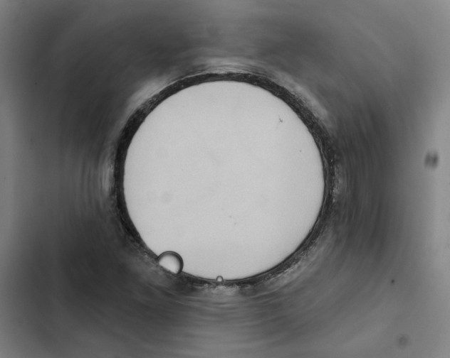 X0000102351261200808291152