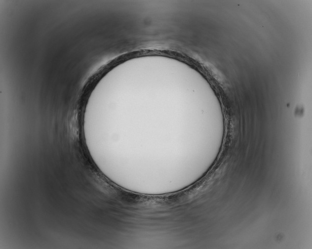 X0000102351262200808291152