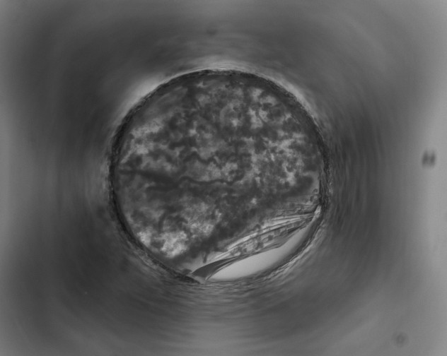 X0000102351263200808291152