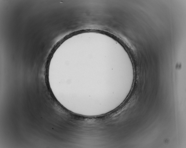 X0000102351264200808291152