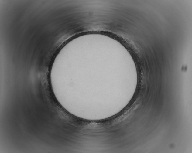 X0000102351265200808291152