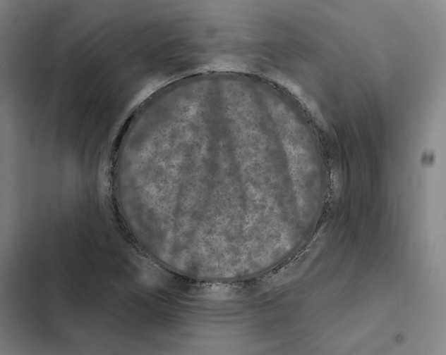 X0000102351266200808291152