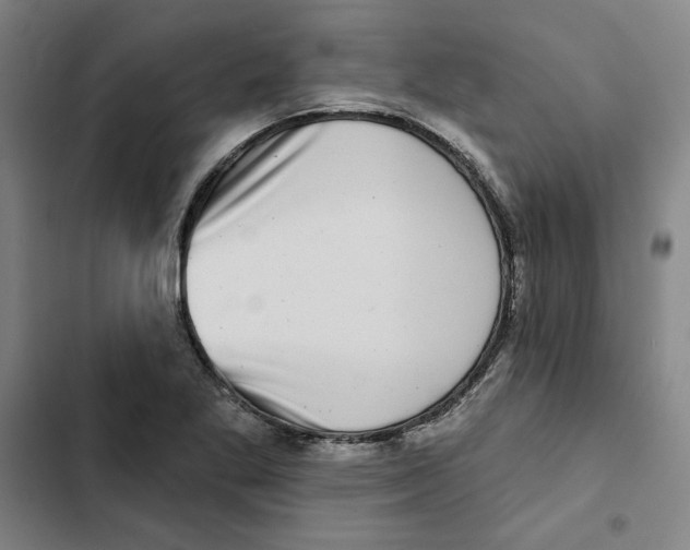X0000102351269200808291152
