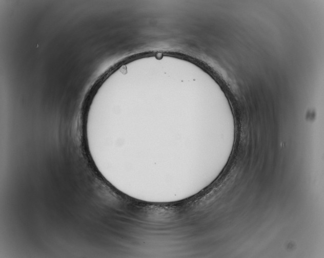 X0000102351270200808291152