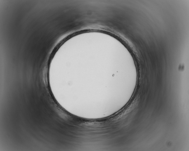 X0000102351272200808291152