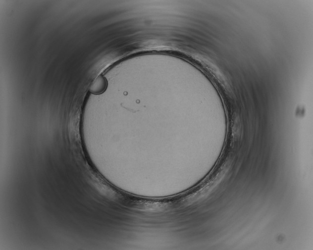 X0000102351273200808291152