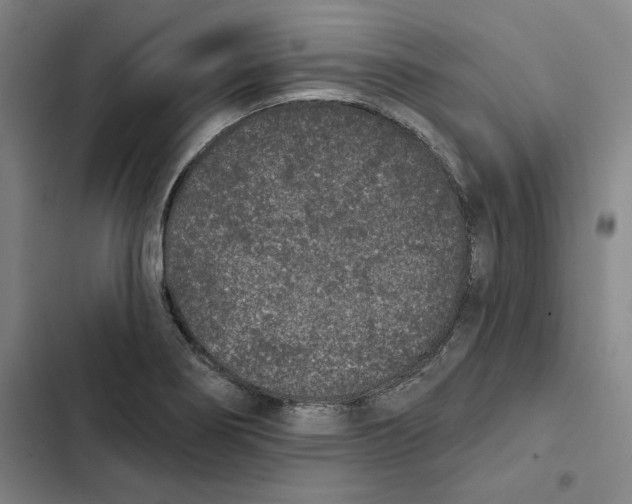 X0000102351274200808291152