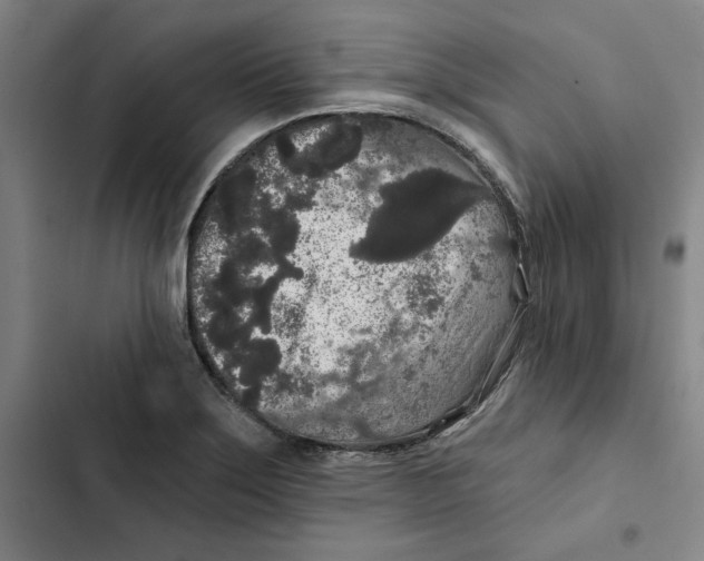 X0000102351275200808291152