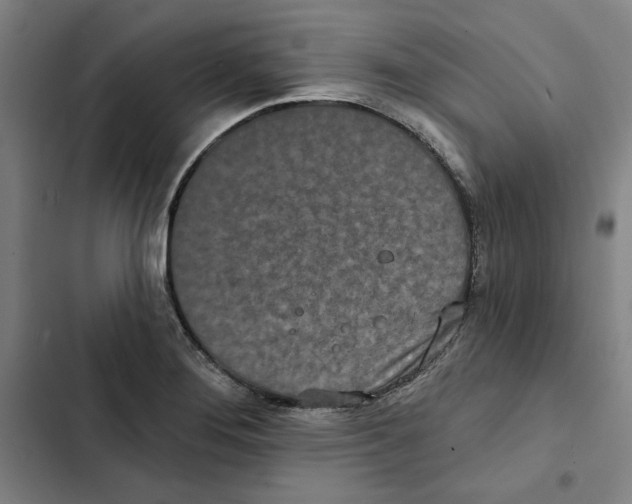 X0000102351276200808291152