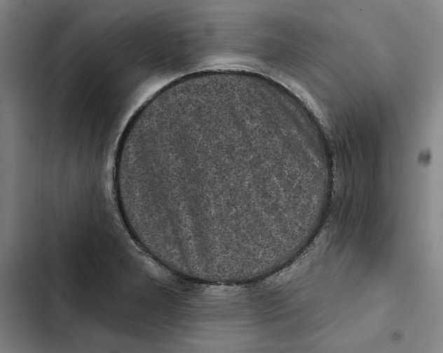 X0000102351277200808291152