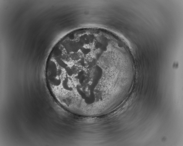 X0000102351279200808291152