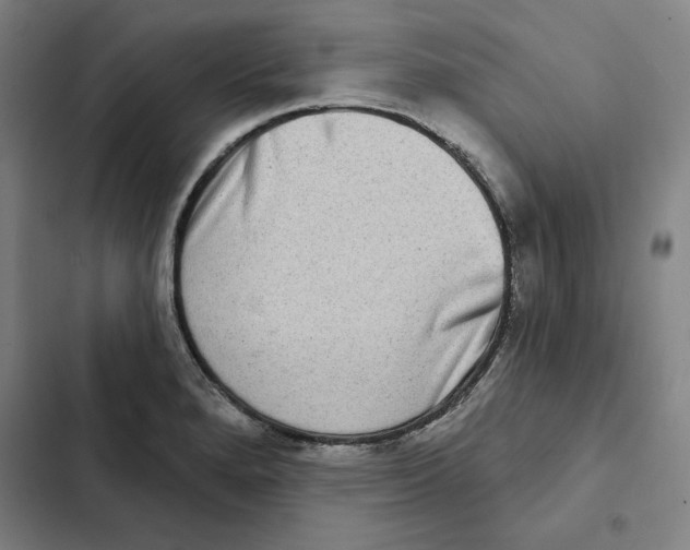 X0000102351280200808291152