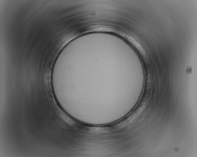 X0000102351281200808291152