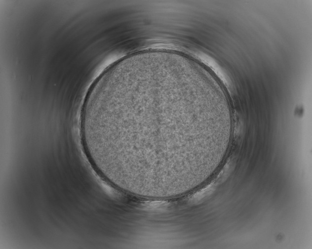 X0000102351282200808291152