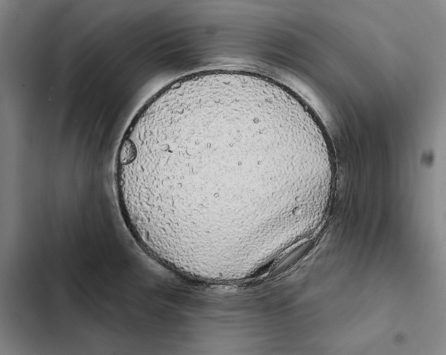 X0000102351283200808291152
