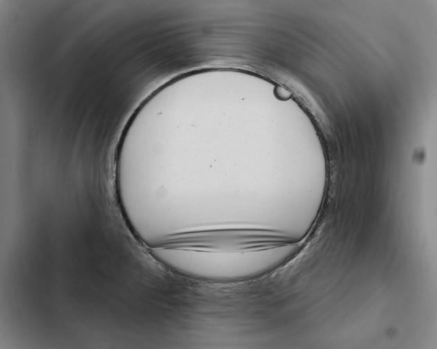 X0000102351284200808291152