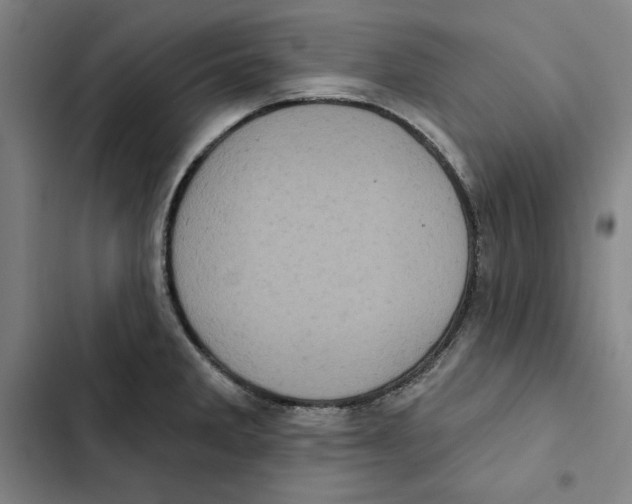 X0000102351285200808291152