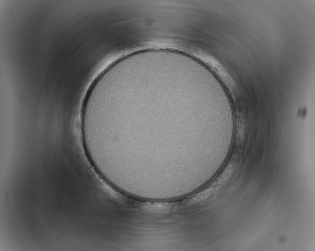 X0000102351286200808291152