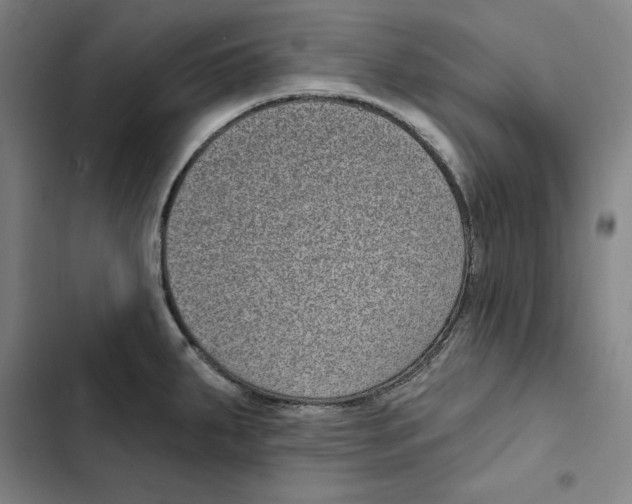 X0000102351287200808291152
