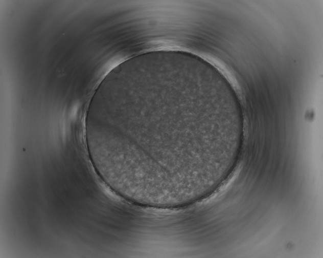 X0000102351289200808291152