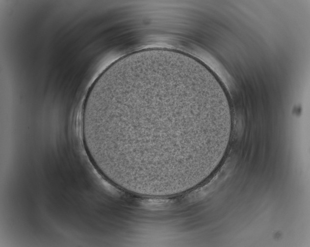 X0000102351290200808291152