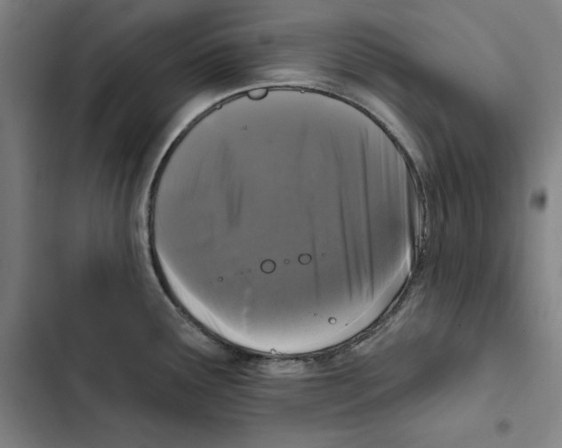 X0000102351291200808291152