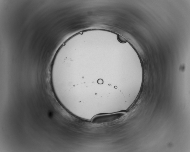 X0000102351292200808291152