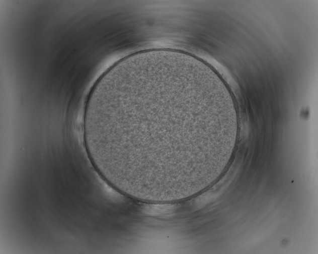 X0000102351294200808291152