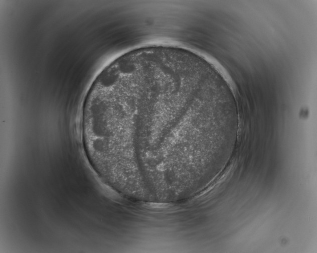 X0000102351295200808291152