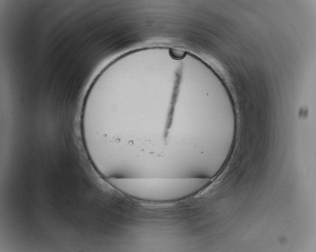 X0000102351296200808291152