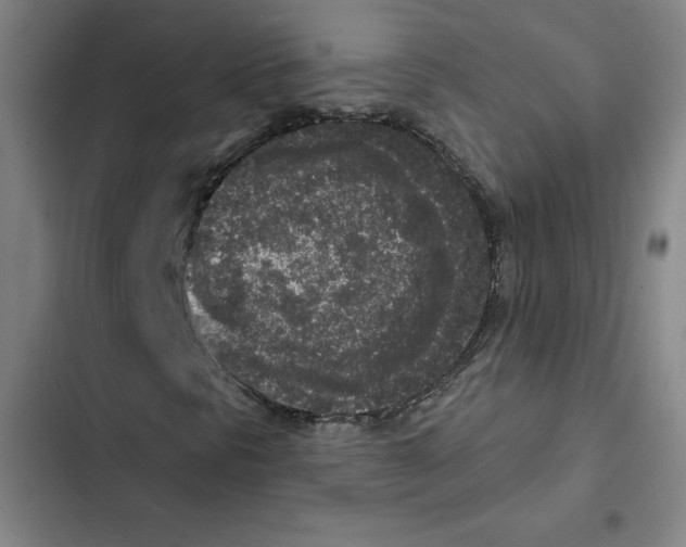 X0000102351297200808291151